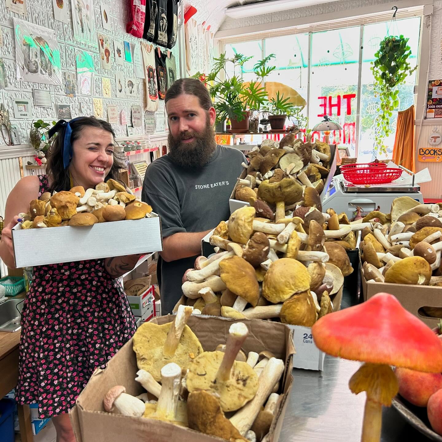 The Mushroom Shop x NuMarket