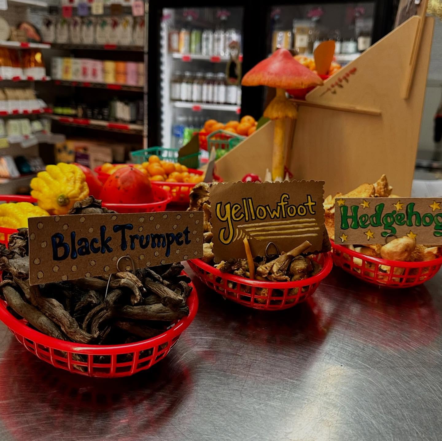 The Mushroom Shop x NuMarket